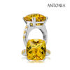 Antonia Ring