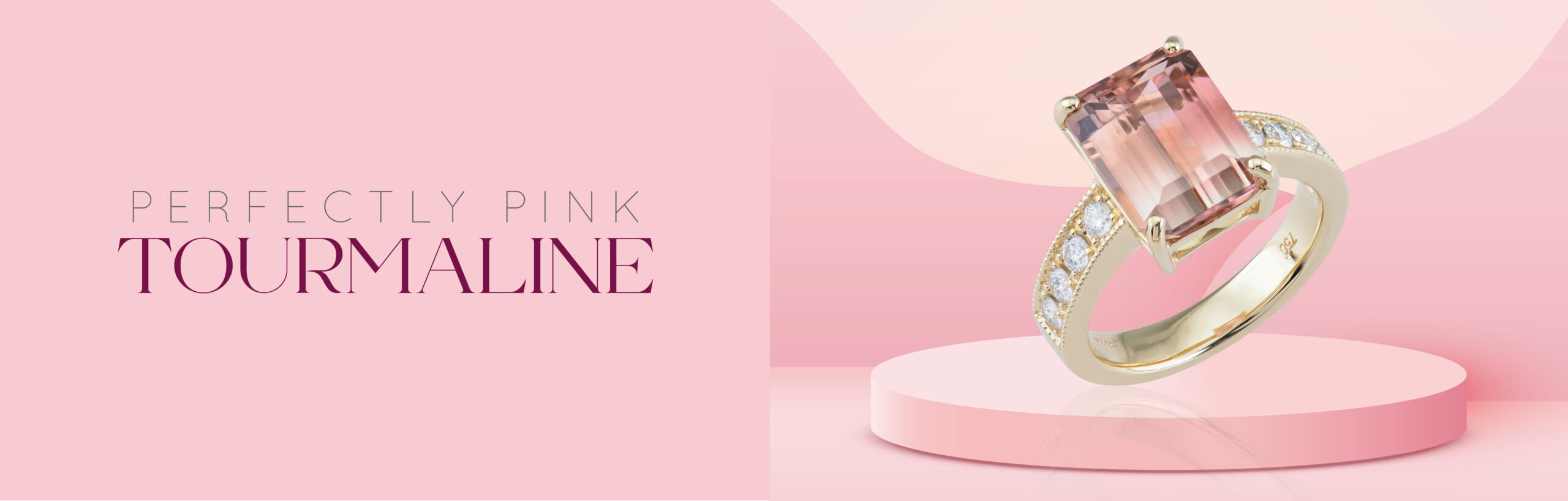 Pink Tourm web banner